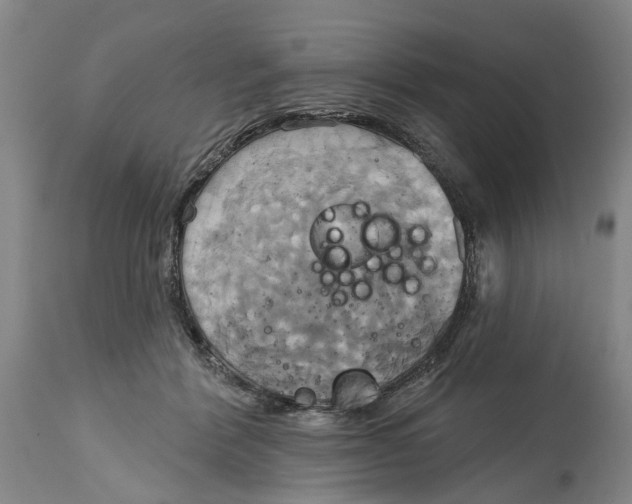 X0000115090412200911171222