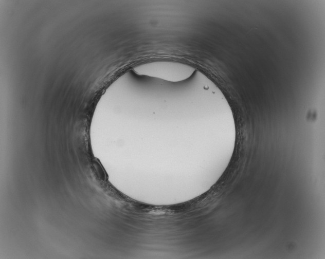 X0000115090415200911171222
