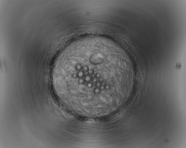 X0000115090416200911171222