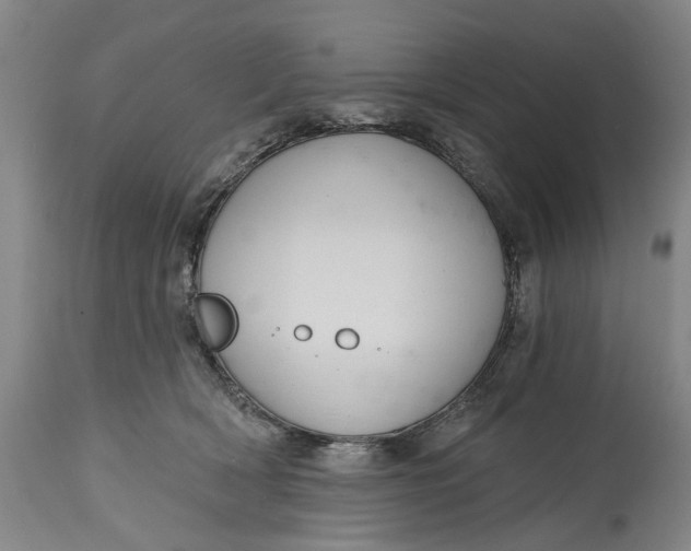 X0000115090418200911171221