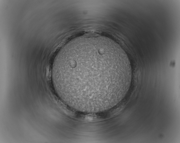 X0000115090420200911171221