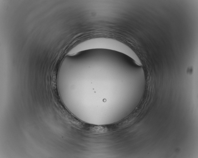 X0000115090421200911171221