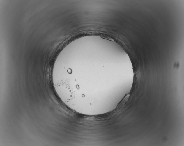 X0000115090423200911171221