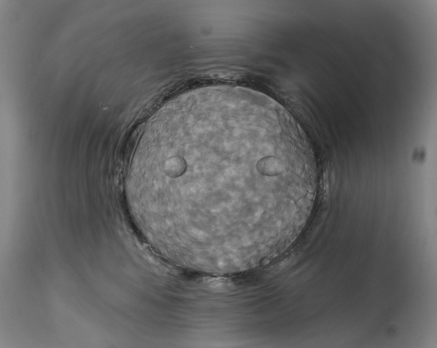 X0000115090424200911171221