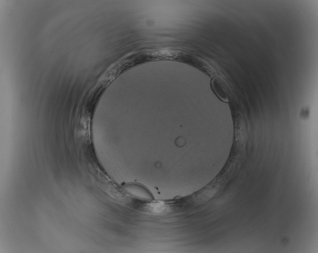 X0000115090425200911171221