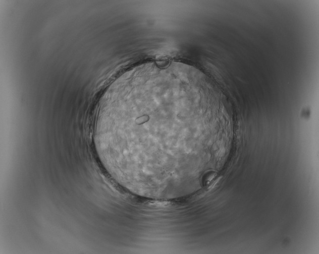 X0000115090428200911171221