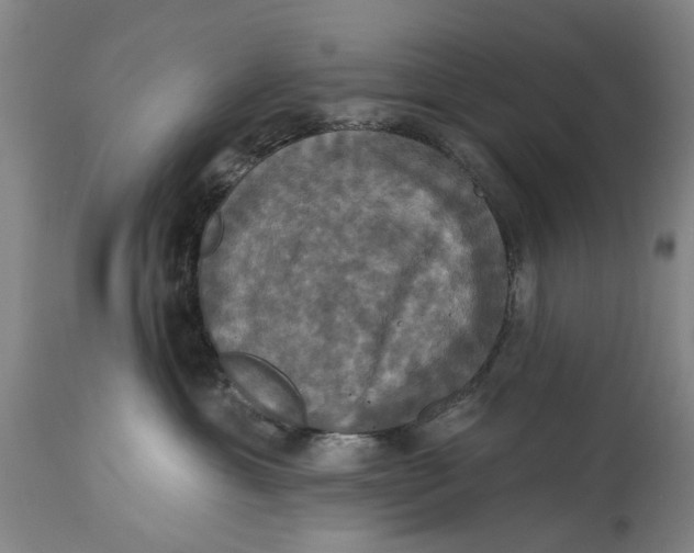 X0000115090429200911171221