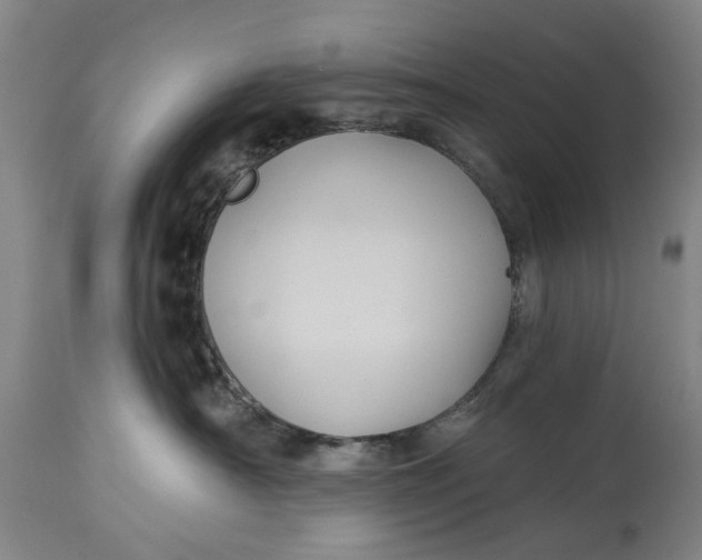 X0000115090430200911171221