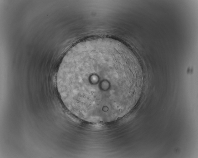 X0000115090432200911171221