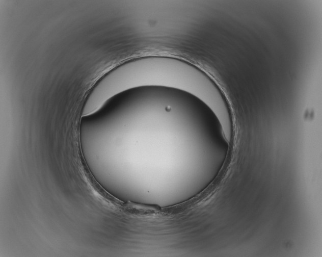 X0000115090433200911171221
