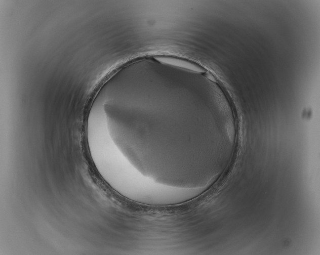 X0000115090434200911171221