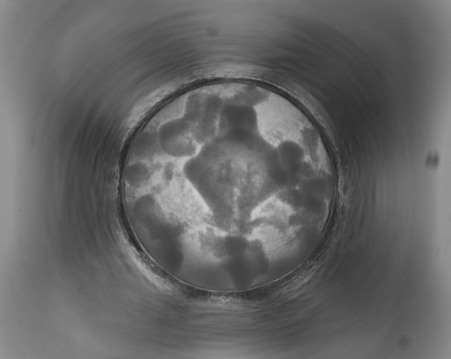 X0000115090437200911171221