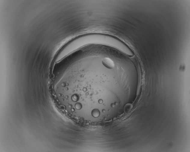 X0000115090438200911171221