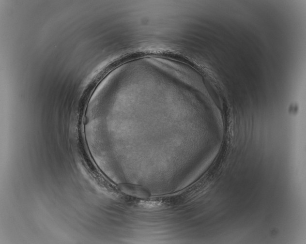 X0000115090440200911171221