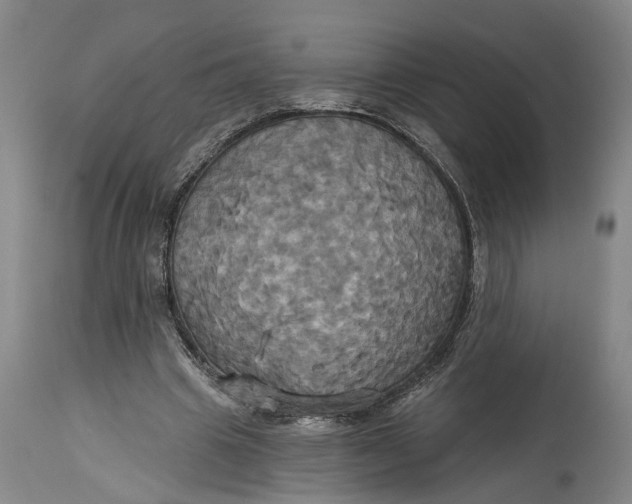 X0000115090441200911171221