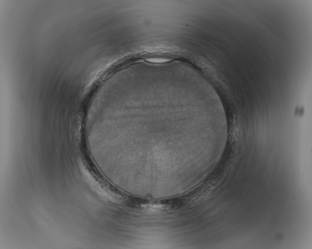 X0000115090448200911171221