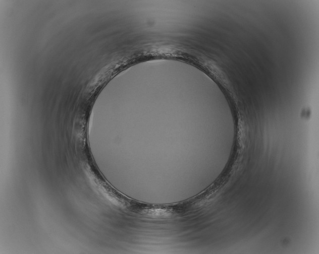 X0000115090449200911171221