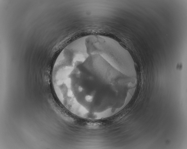 X0000115090450200911171221