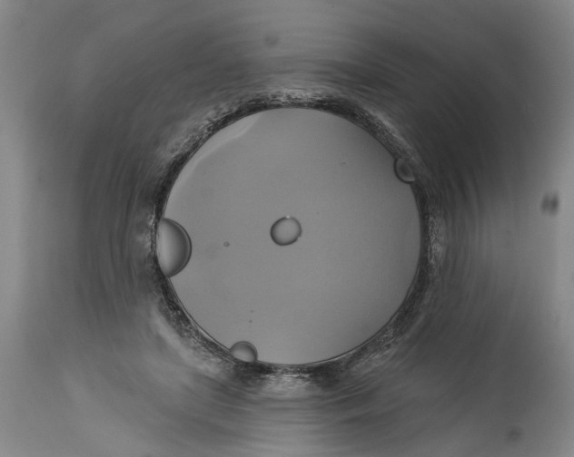X0000115090451200911171221