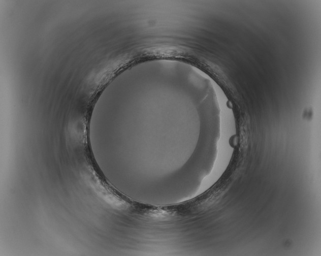 X0000115090453200911171221
