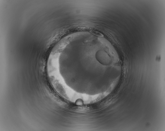 X0000115090458200911171221