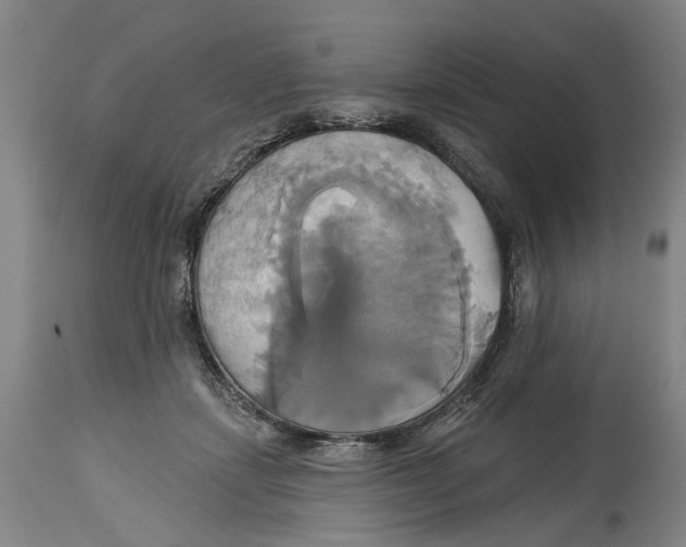 X0000115090459200911171221