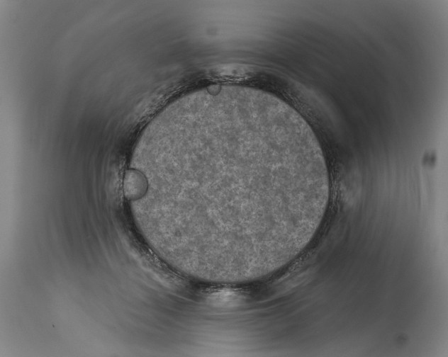 X0000115090460200911171221