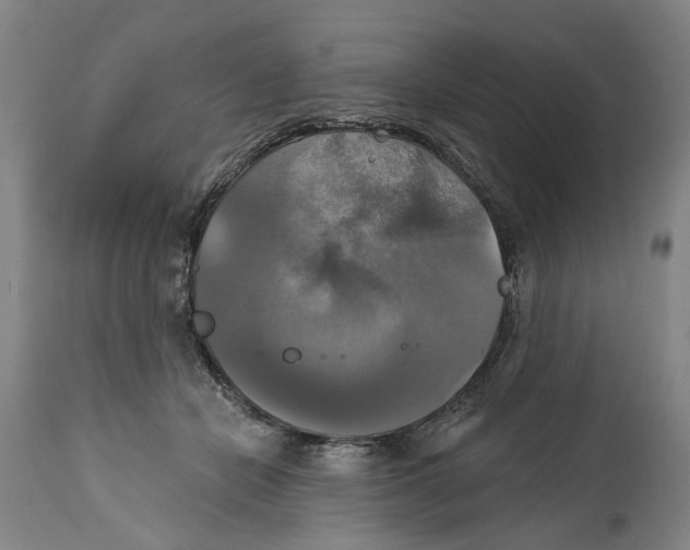 X0000115090462200911171221