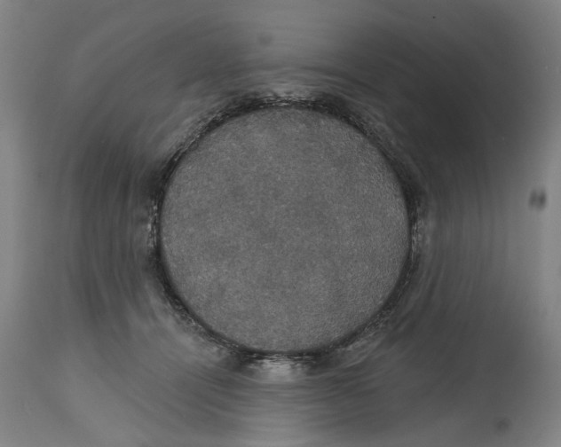 X0000115090464200911171221