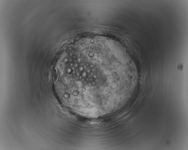 X0000115090466200911171221