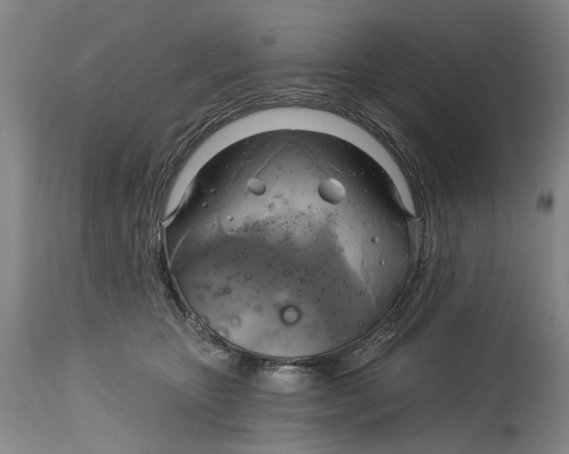X0000115090467200911171221
