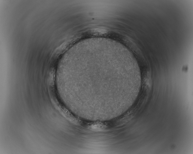 X0000115090468200911171221
