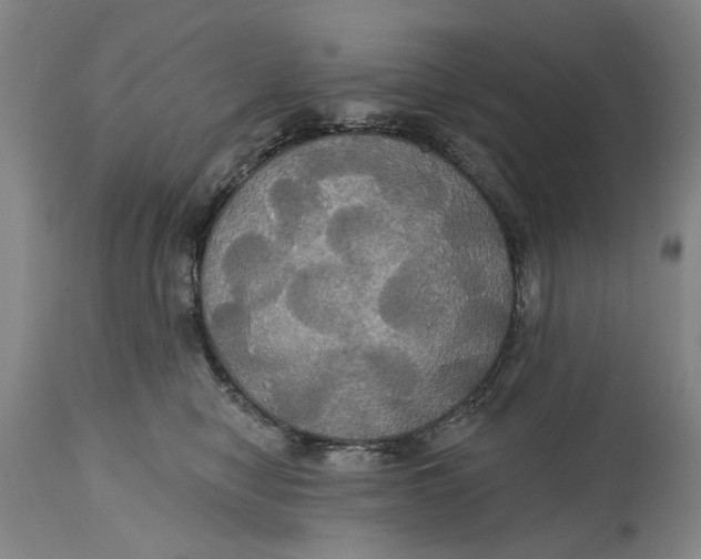 X0000115090470200911171221