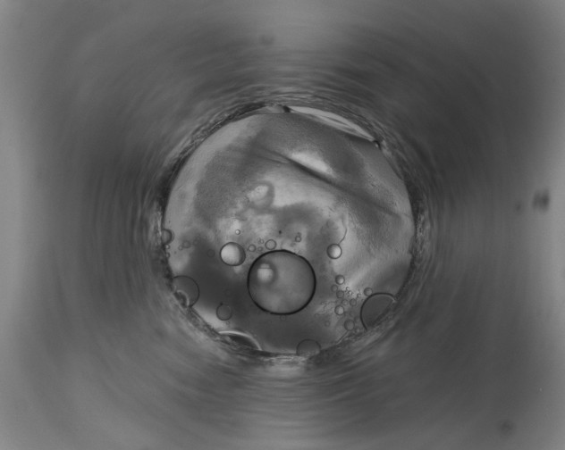 X0000115090474200911171221