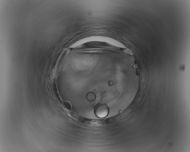 X0000115090475200911171221