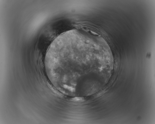 X0000115090477200911171221