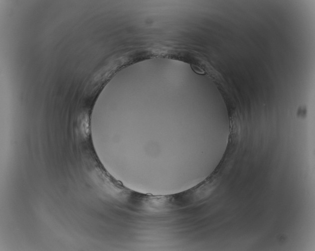 X0000115090479200911171221