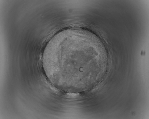 X0000115090480200911171221