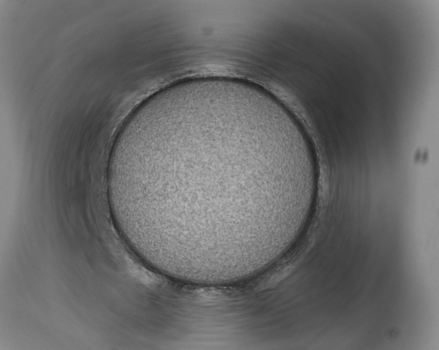 X0000115090481200911171221