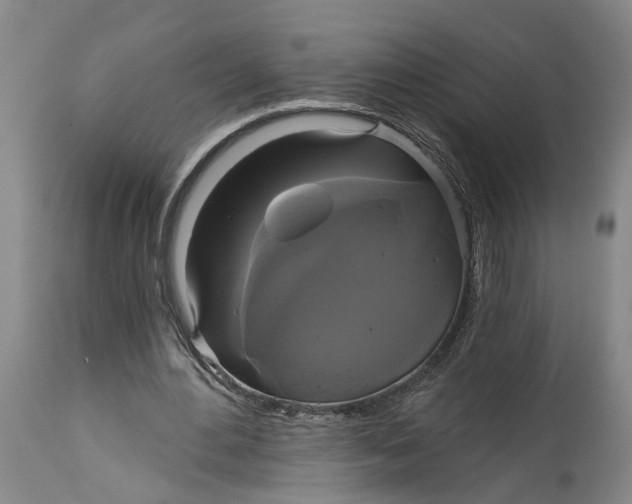 X0000115090484200911171221