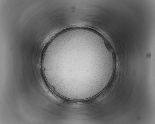 X0000115090485200911171221