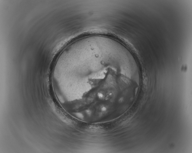 X0000115090487200911171221