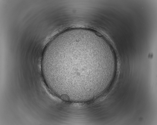 X0000115090489200911171221