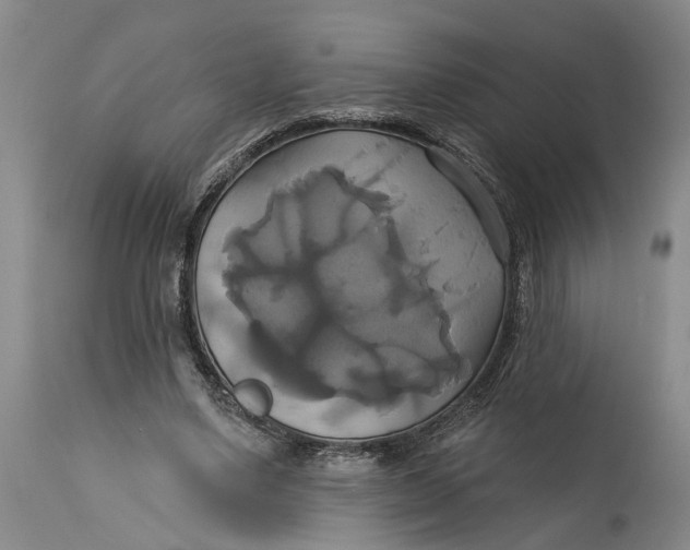 X0000115090491200911171220