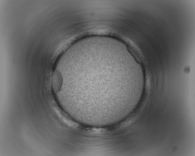 X0000115090493200911171220