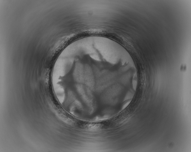 X0000115090495200911171220