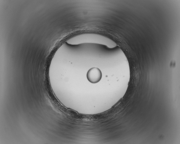 X0000115090496200911171220