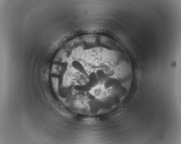 X0000115090499200911171220