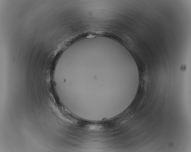 X0000115090500200911171220