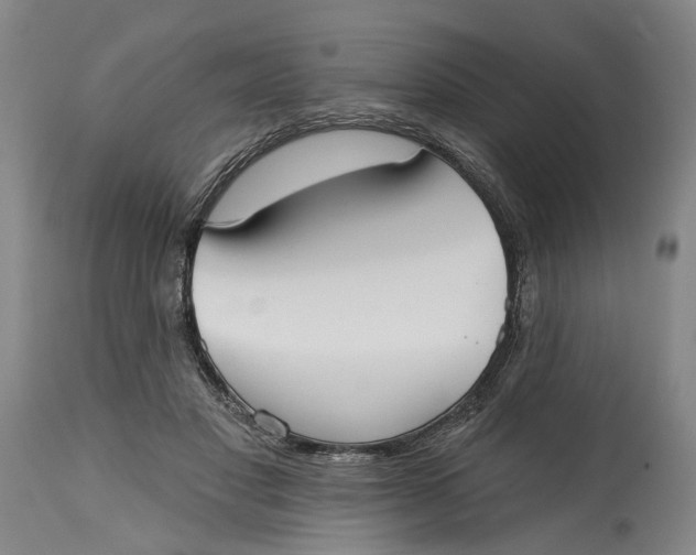 X0000115090501200911171220